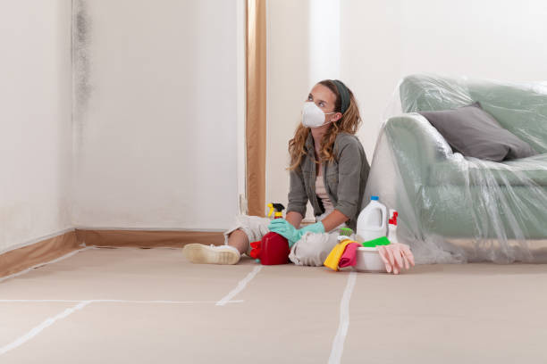 Reliable Basement Mold Remediation contractor in Landisville, PA by WQB Mold Removal